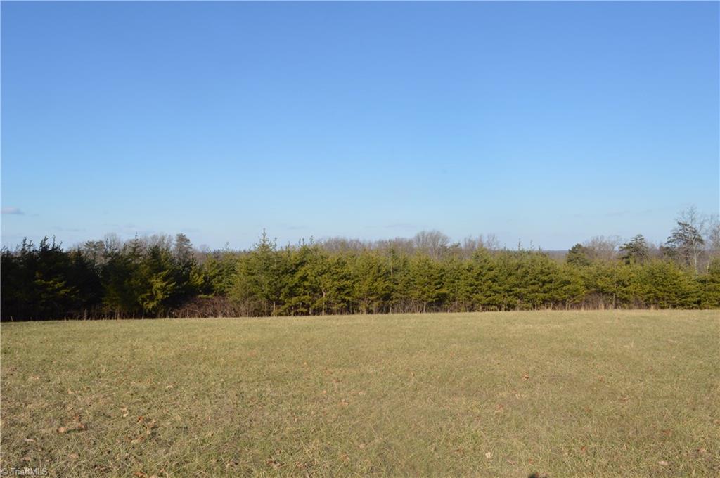 3138 Garrett Road Stoneville, NC 27048 - Photo 23 of 25 Gallery Image 23