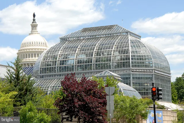 $1,050,000 | 719 12th Street Southeast, Unit 3, Washington, DC 20003