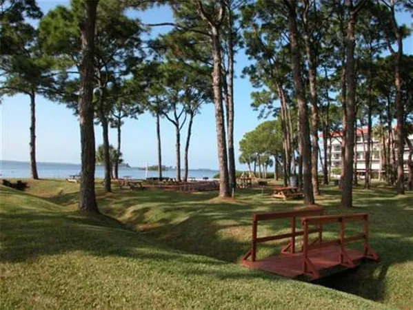 a view of a park with large trees