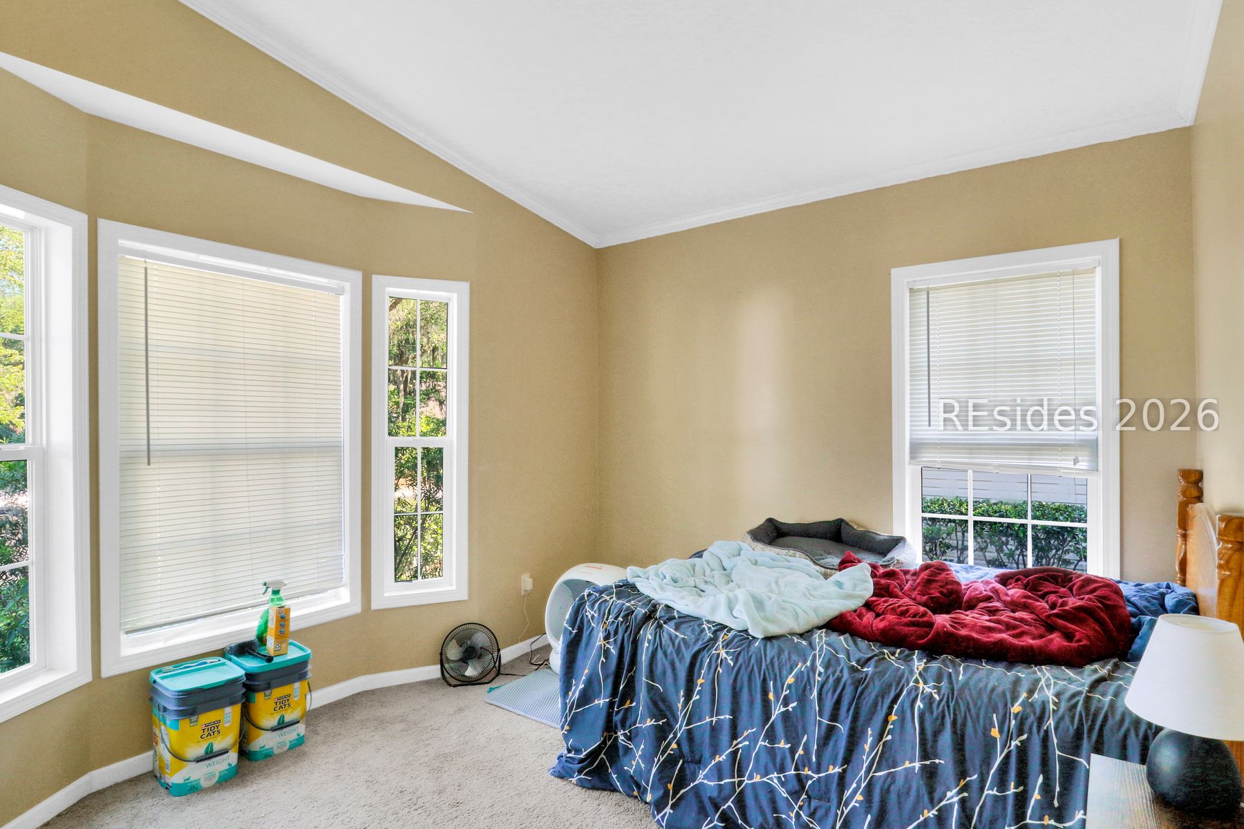7 River Tree Circle Bluffton, SC 29910 - Photo 20 of 25