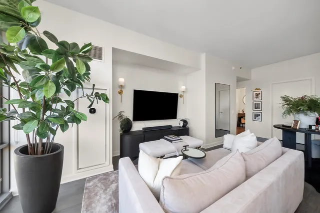 a living room with furniture and a potted plant