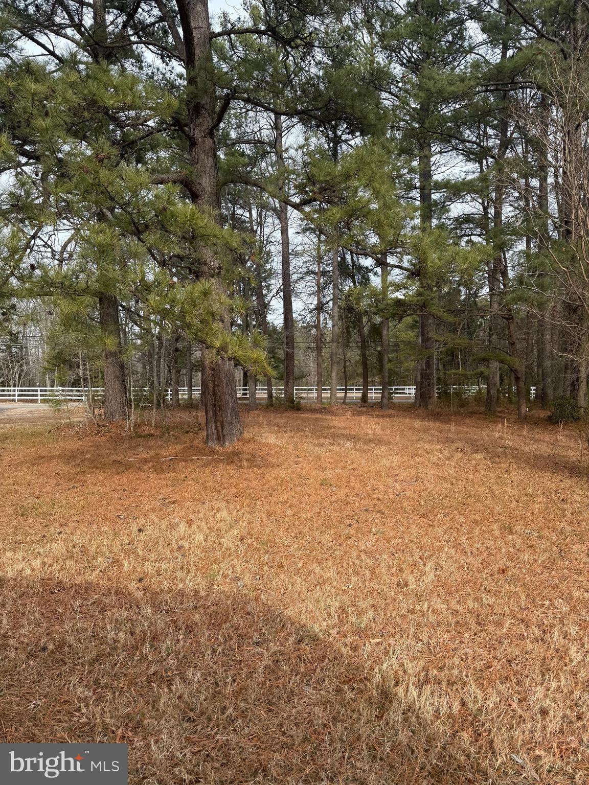 4711 Danville Road Brandywine, MD 20613 - Photo 1 of 9 a backyard of a house with lots of green space
