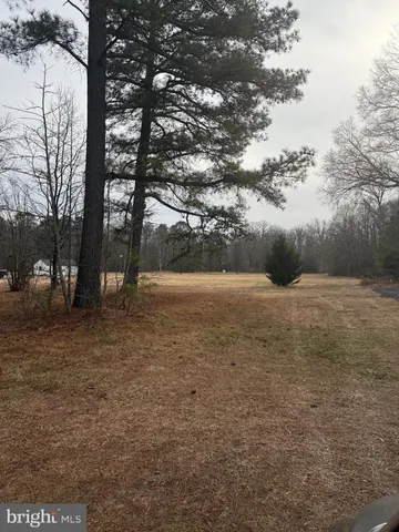 a view of outdoor space with trees