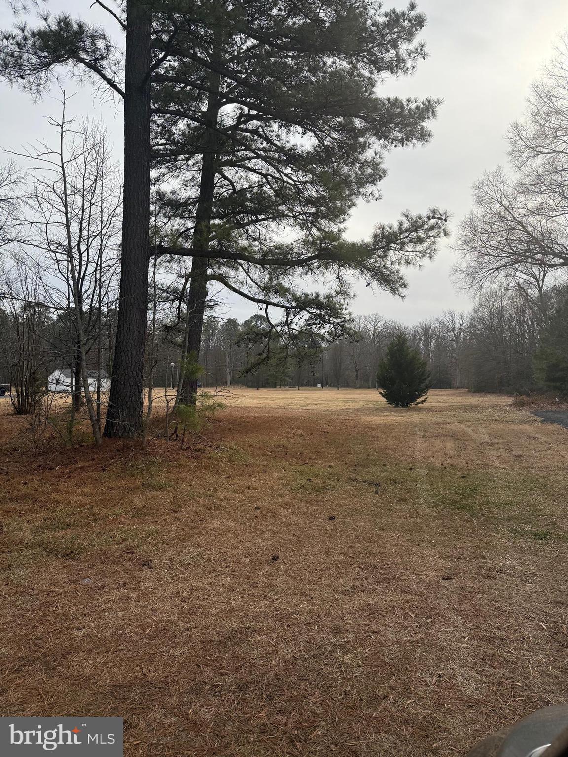 4711 Danville Road Brandywine, MD 20613 - Photo 3 of 9 a view of outdoor space with trees