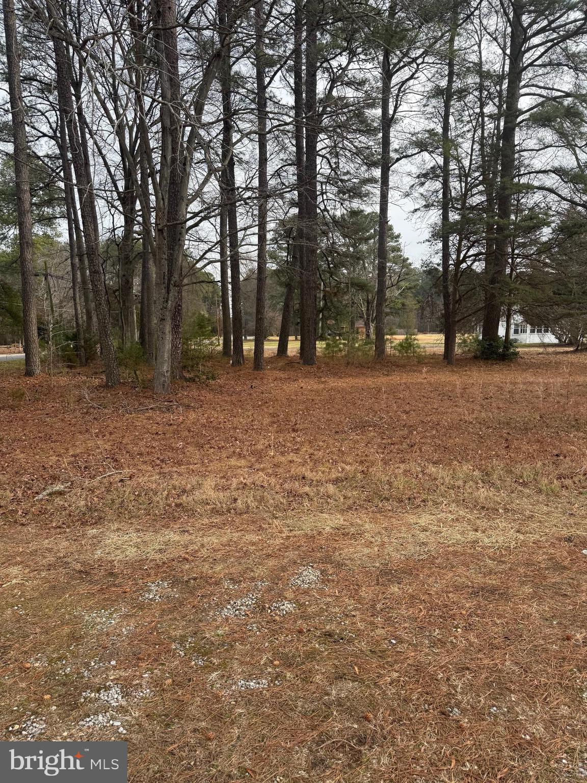 4711 Danville Road Brandywine, MD 20613 - Photo 4 of 9 a view of a yard with trees