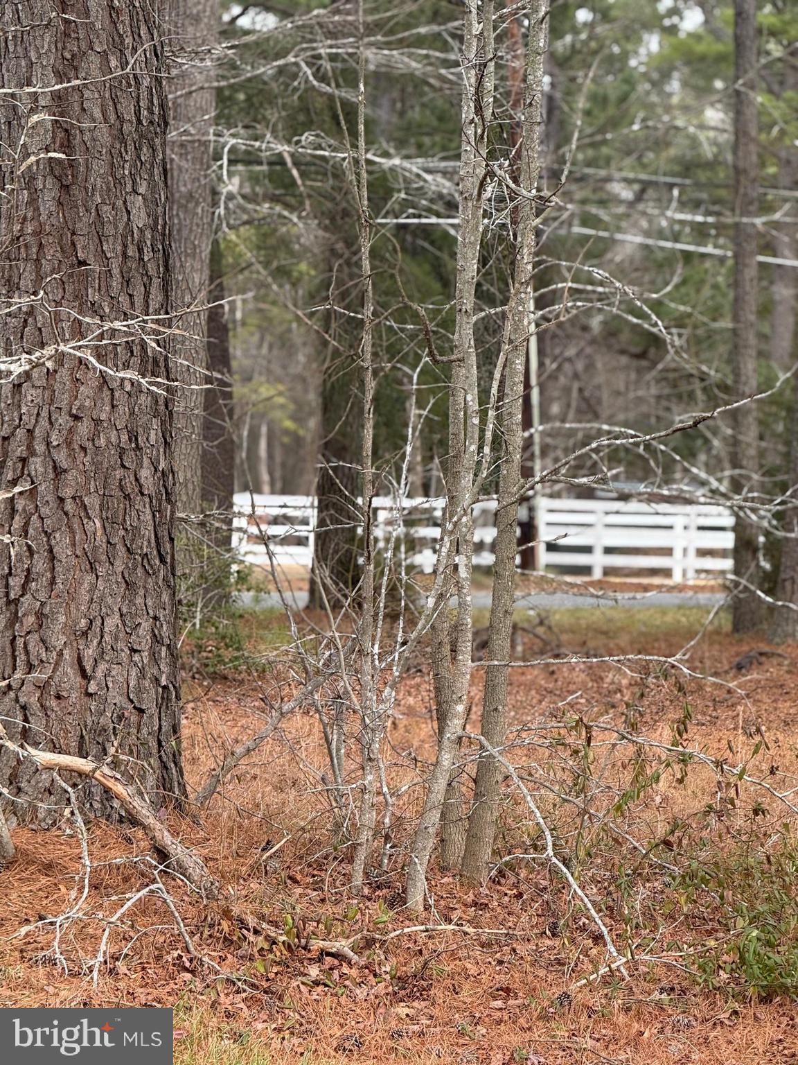 4711 Danville Road Brandywine, MD 20613 - Photo 5 of 9 a view of swimming pool with lawn chairs and wooden fence