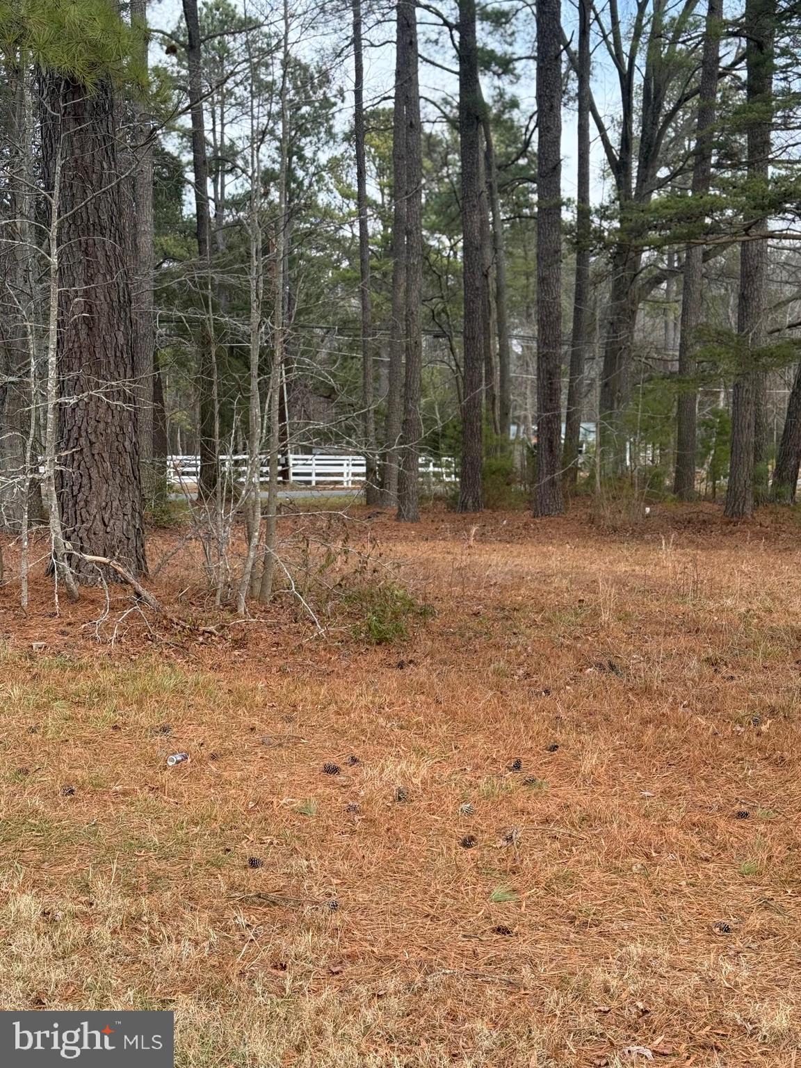 4711 Danville Road Brandywine, MD 20613 - Photo 6 of 9 a backyard of a house with lots of green space