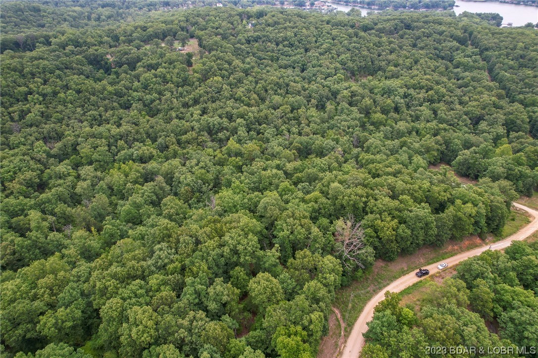 Tbd Compromise Road Gravois Mills, MO 65037 - Photo 15 of 22