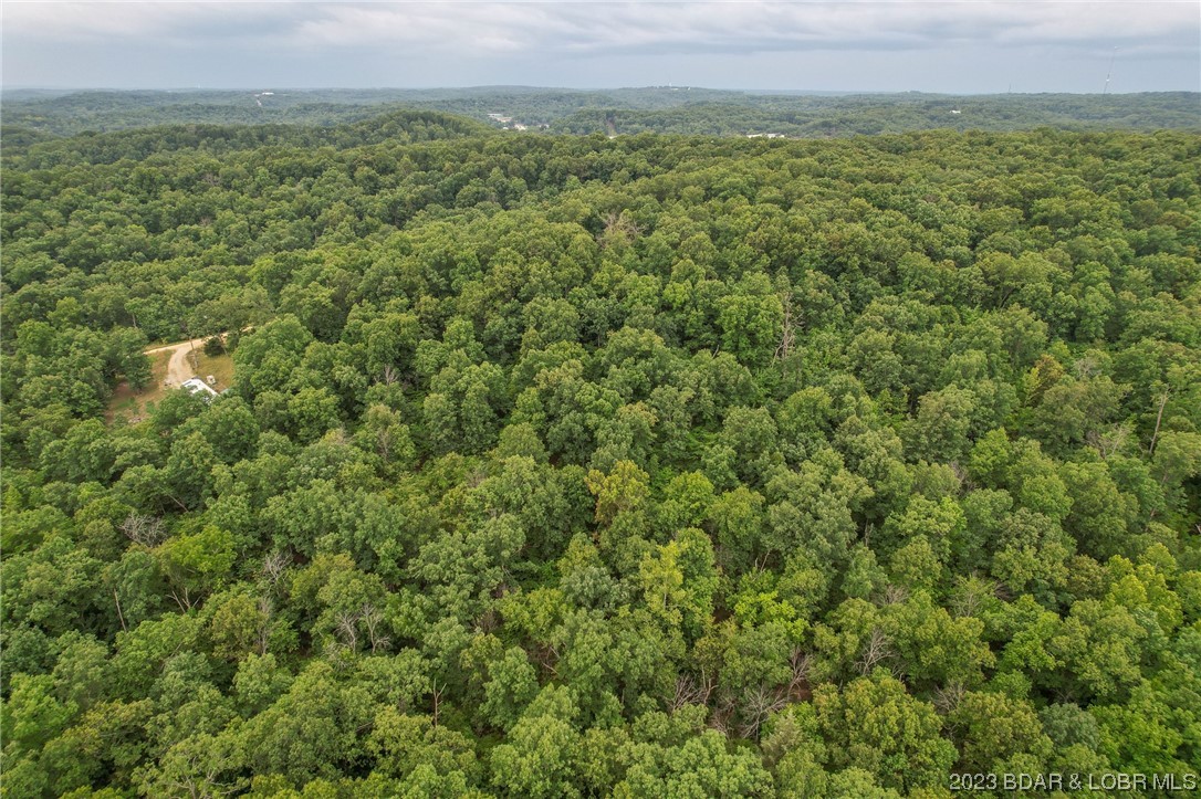 Tbd Compromise Road Gravois Mills, MO 65037 - Photo 20 of 22