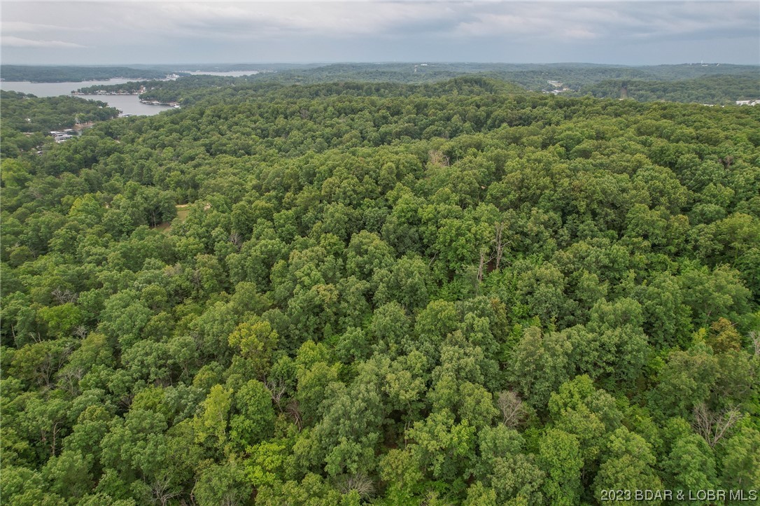 Tbd Compromise Road Gravois Mills, MO 65037 - Photo 21 of 22