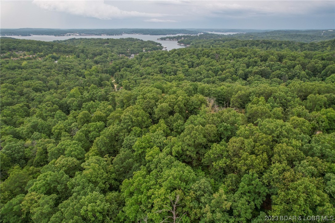 Tbd Compromise Road Gravois Mills, MO 65037 - Photo 22 of 22