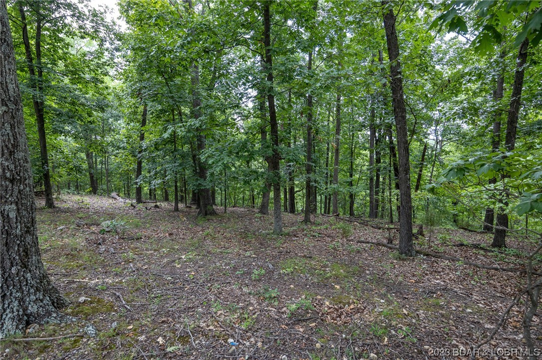 Tbd Compromise Road Gravois Mills, MO 65037 - Photo 5 of 22