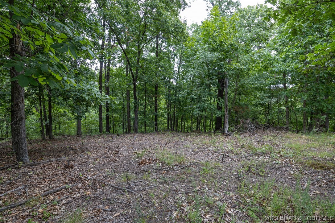 Tbd Compromise Road Gravois Mills, MO 65037 - Photo 6 of 22