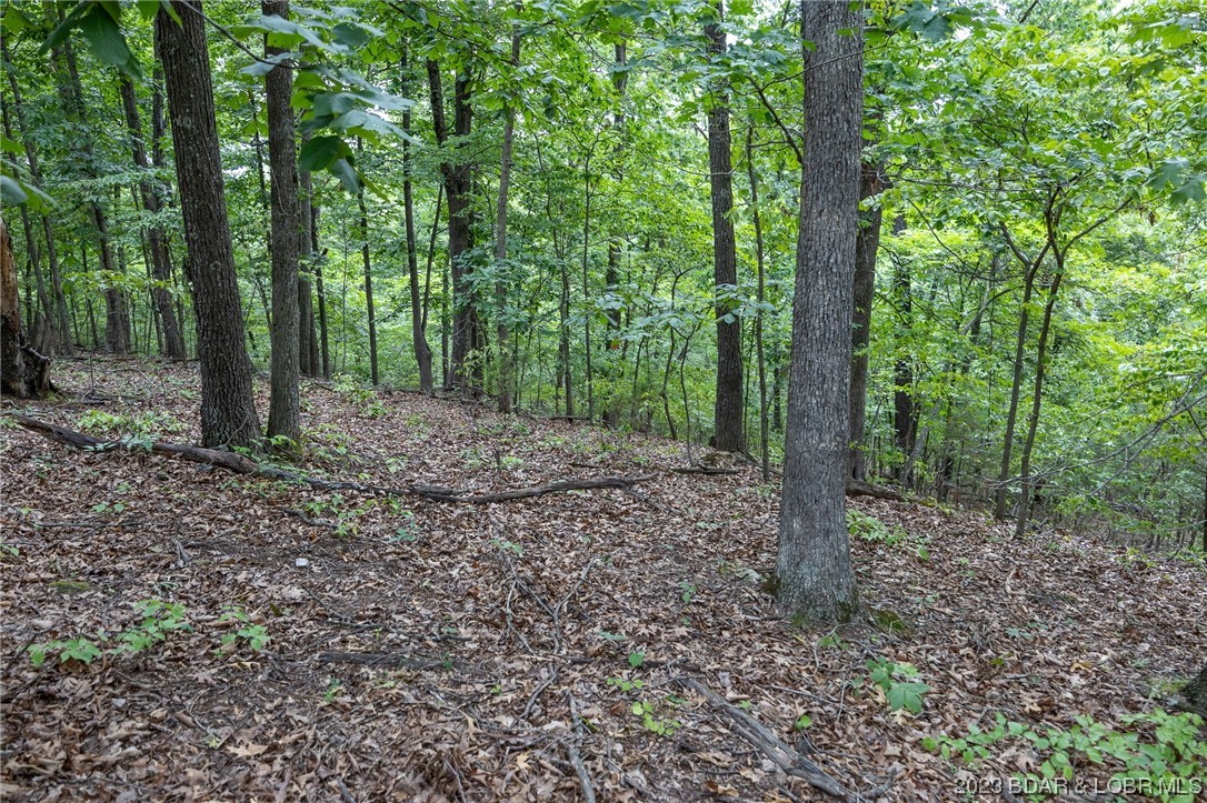 Tbd Compromise Road Gravois Mills, MO 65037 - Photo 7 of 22
