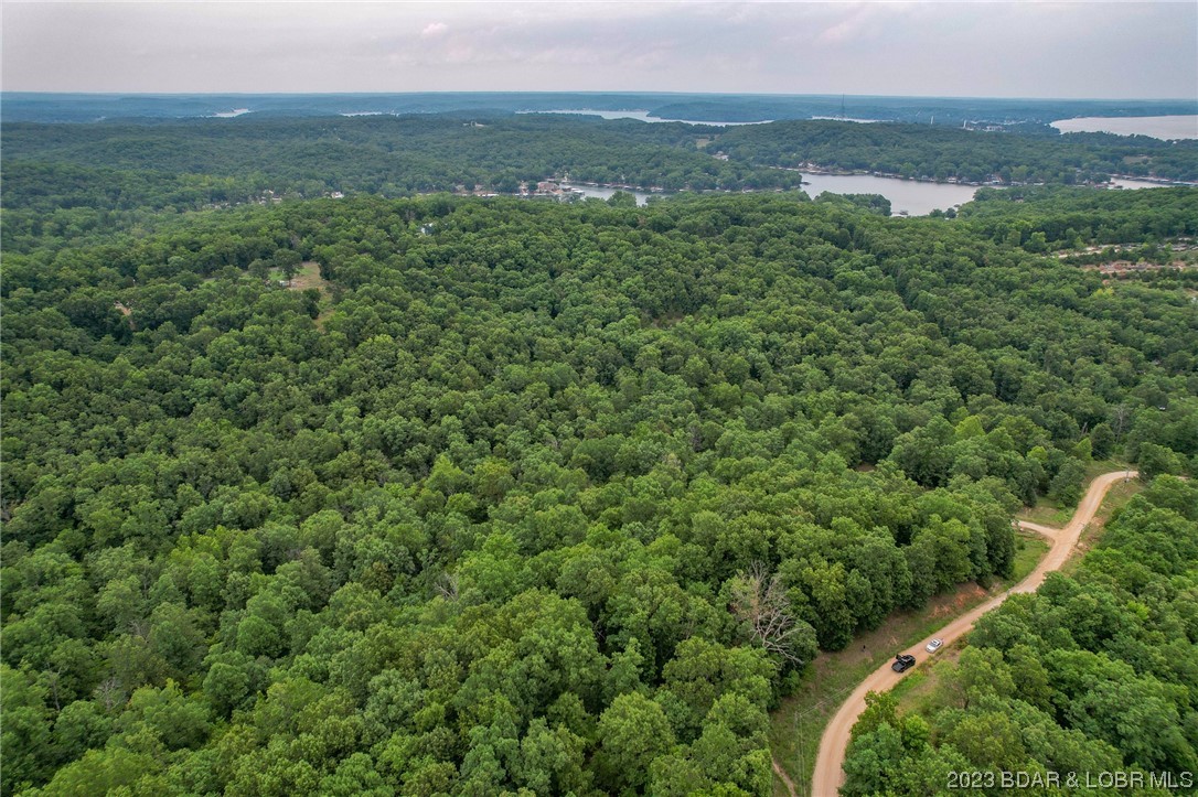 Tbd Compromise Road Gravois Mills, MO 65037 - Photo 8 of 22