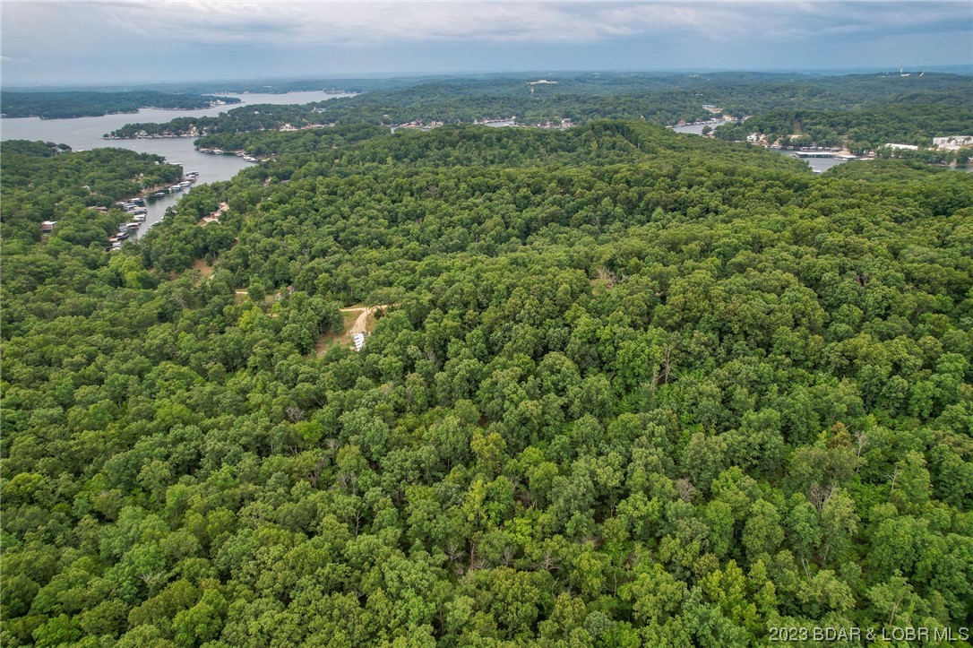 Tbd Compromise Road Gravois Mills, MO 65037 - Photo 10 of 22