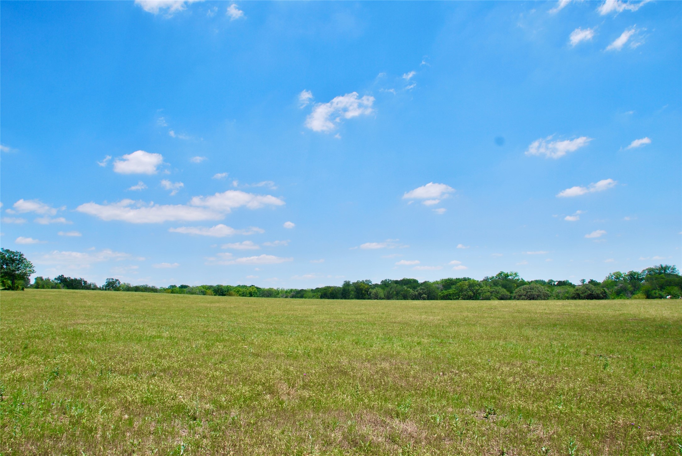 2072 Langdon Road Weimar, TX 78962 - Photo 13 of 18