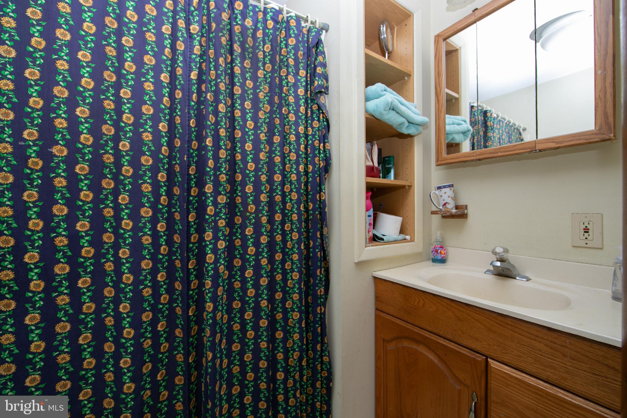 111 Newbolds Corner Road Southampton, NJ 08088 - Photo 49 of 96 Bath