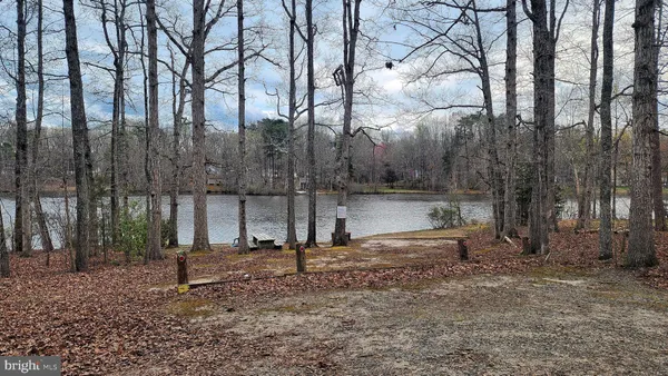 a view of a back yard
