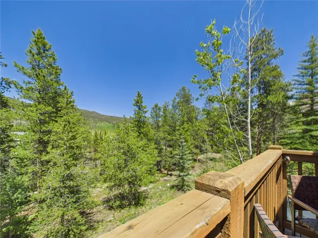 a view of a backyard with plants