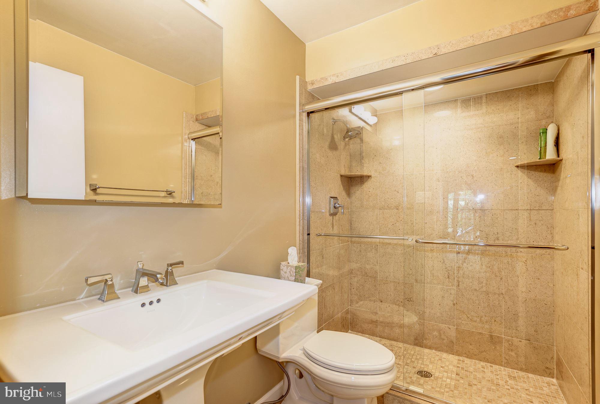 8816 Brook Road McLean, VA 22102 - Photo 34 of 49 Lower level full bath