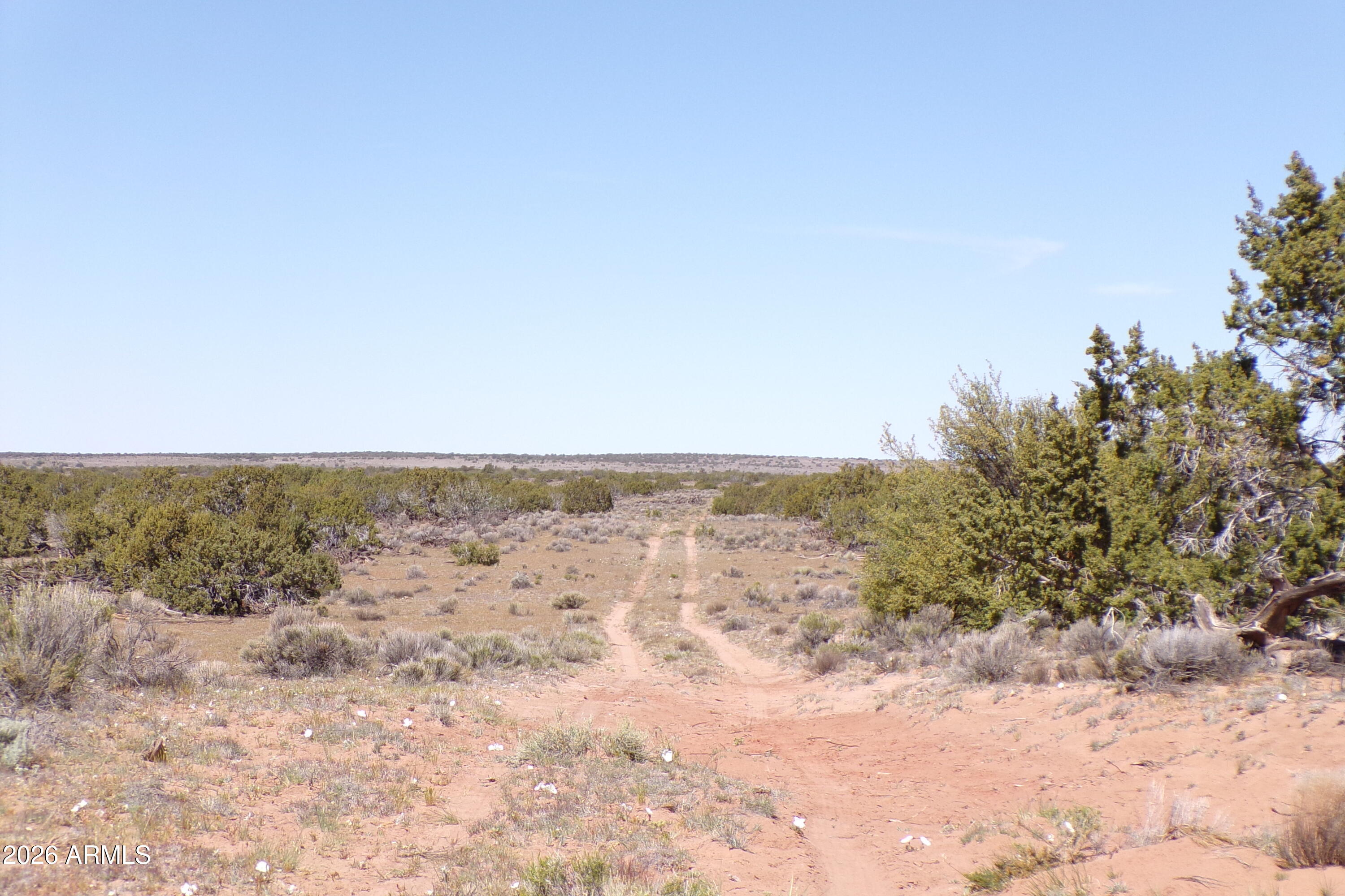 0 Ranch Road Sanders, AZ 86512 - Photo 27 of 42 a view of beach and covered with trees