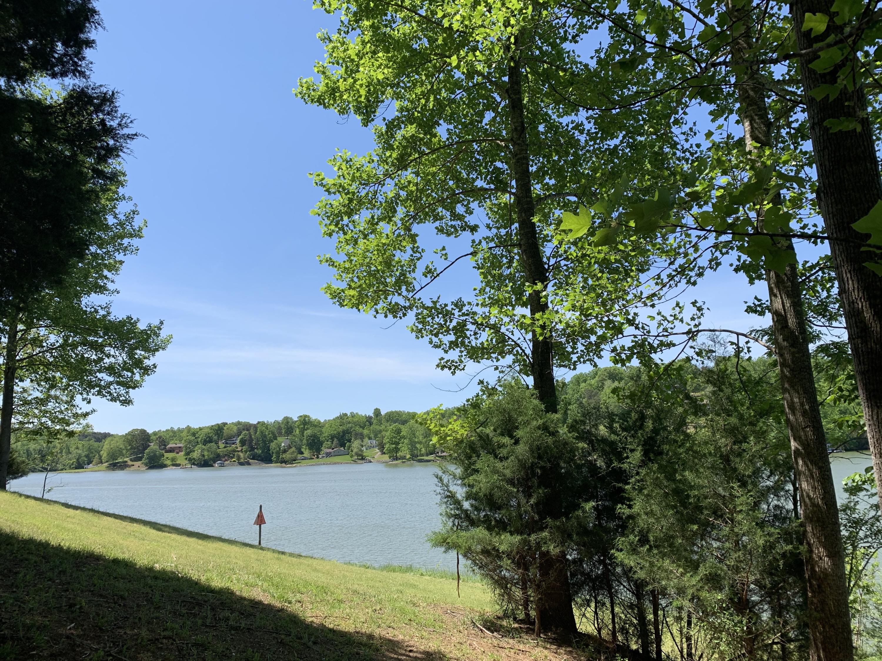 Lot 6 Carters Island Road Goodview, VA 24095 - Photo 16 of 20 NpuPlSXdQqOrkhQhyt4Ldg