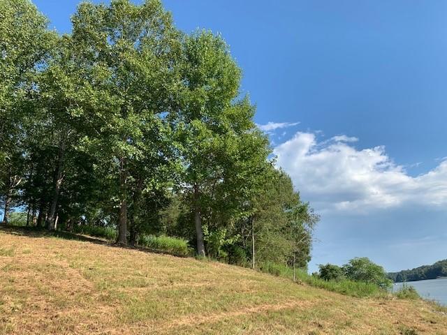 Lot 6 Carters Island Road Goodview, VA 24095 - Photo 9 of 20 Lot 6-8