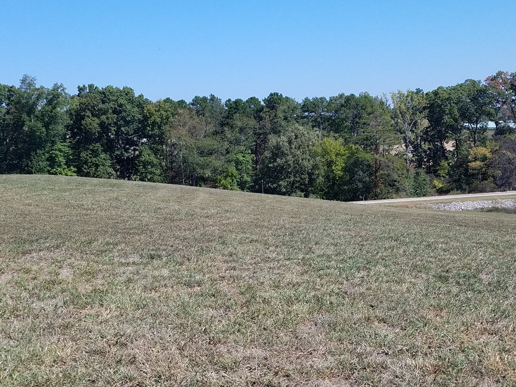 Lot 16 Grainger Landing, Unit 16 Rutledge, TN 37861 - Photo 18 of 32 Photo 18