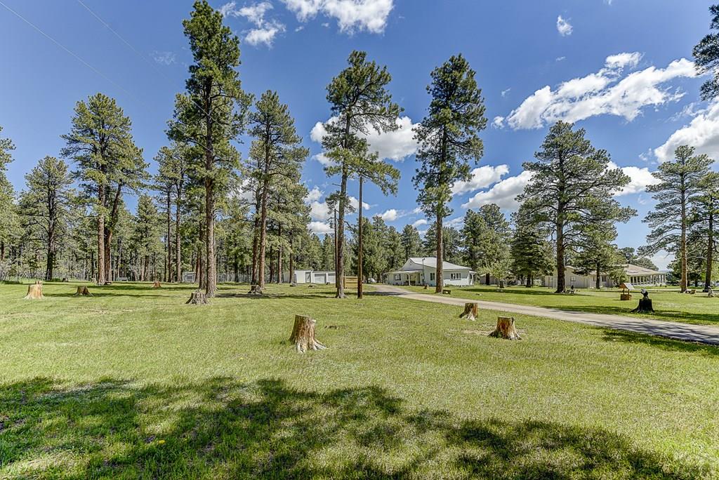 8221 Green Tower Lane Rye, CO 81069 - Photo 2 of 40