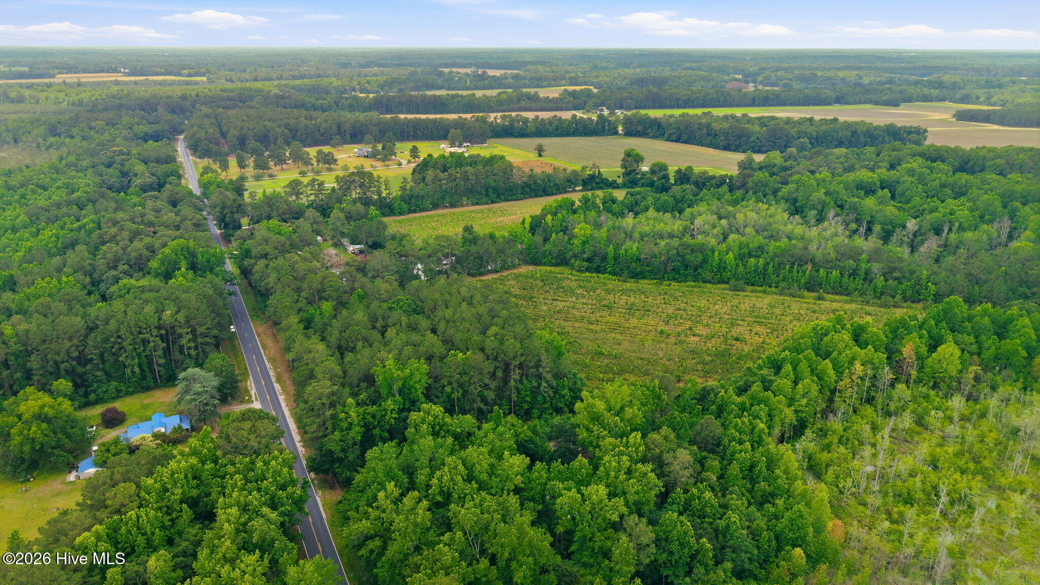 17060 St Johns Church Road Laurel Hill, NC 28351 - Photo 57 of 62