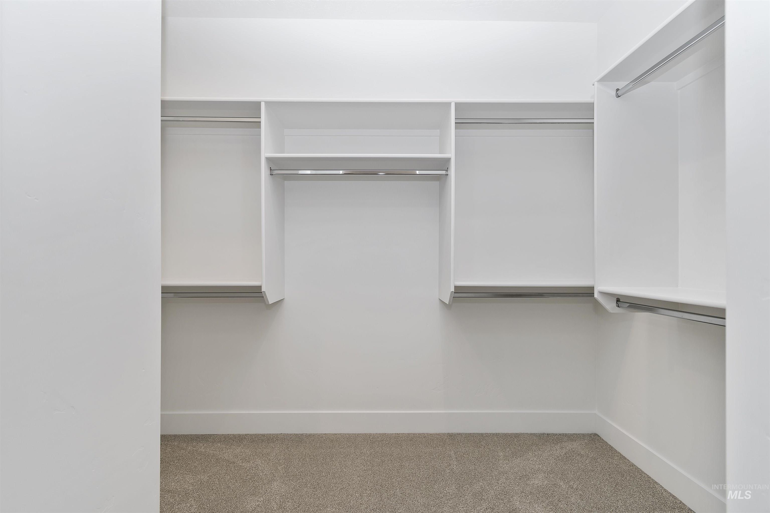 732 South Calhoun Lane Star, ID 83669 - Photo 38 of 50 Walk in closet featuring light colored carpet