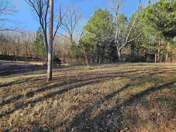 a view of a yard with trees