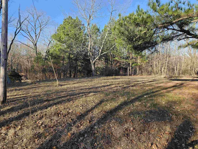 a view of outdoor space with trees