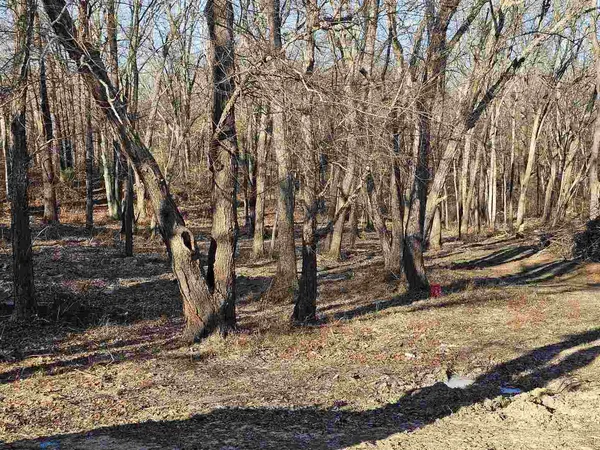 a view of a backyard with large trees
