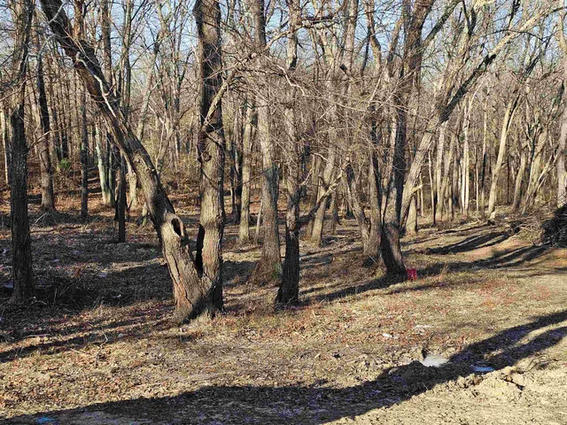 a view of a backyard of the house