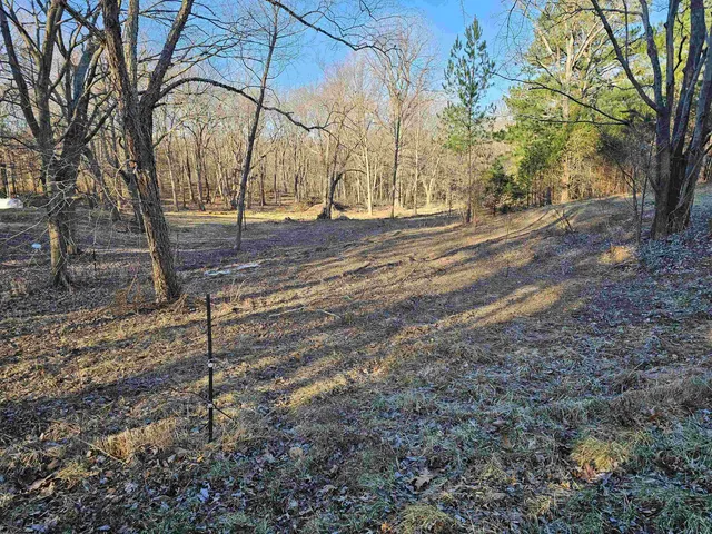 a view of yard with tree