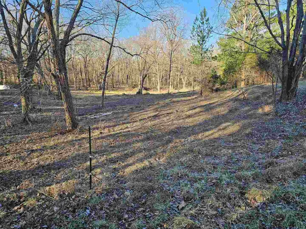 a view of yard with tree