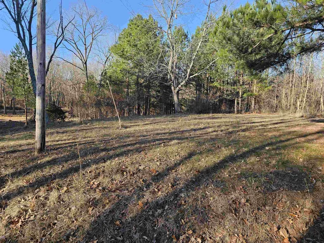 a view of a yard with large trees