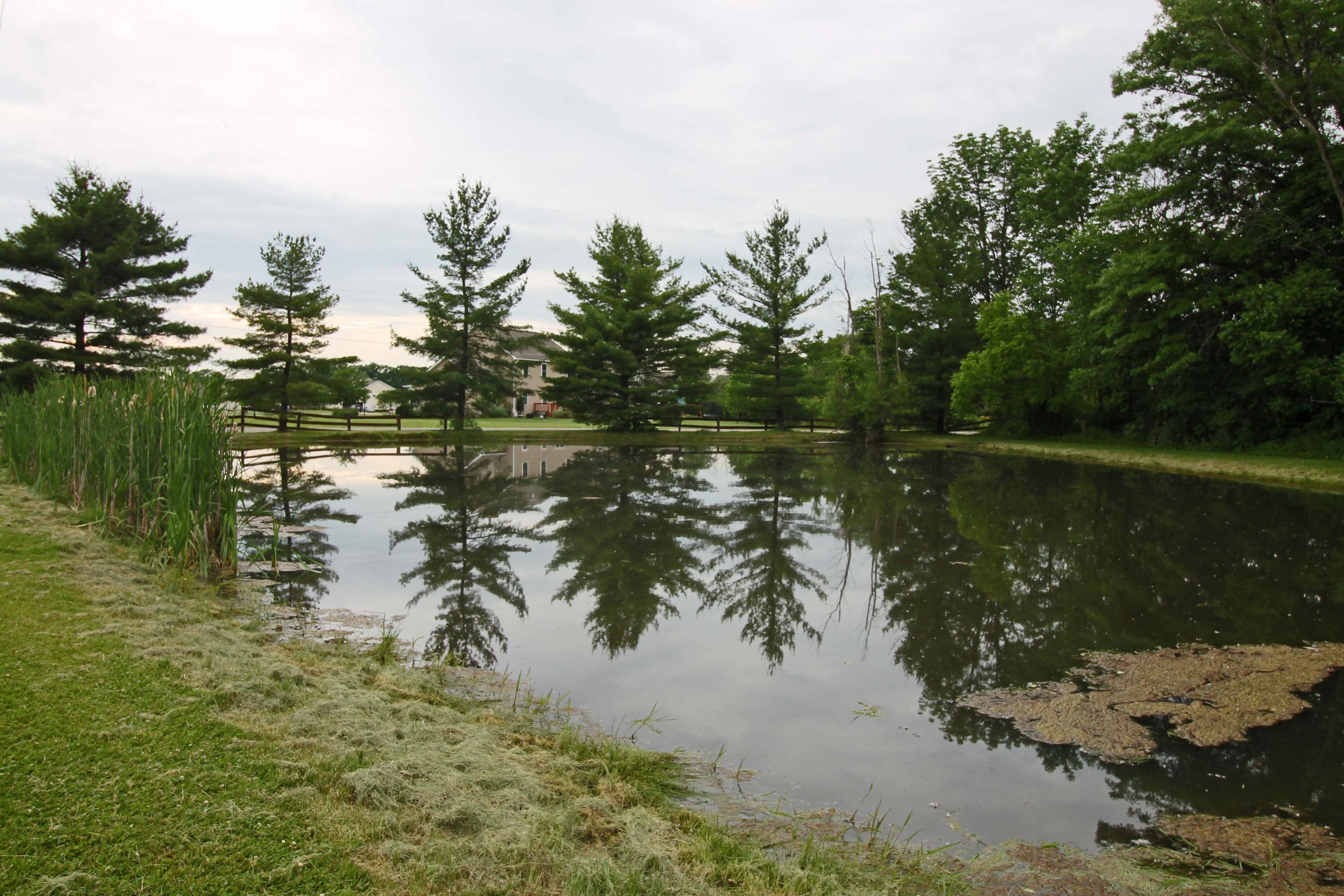 18290 Timber Trails Road Marysville, OH 43040 - Photo 33 of 55