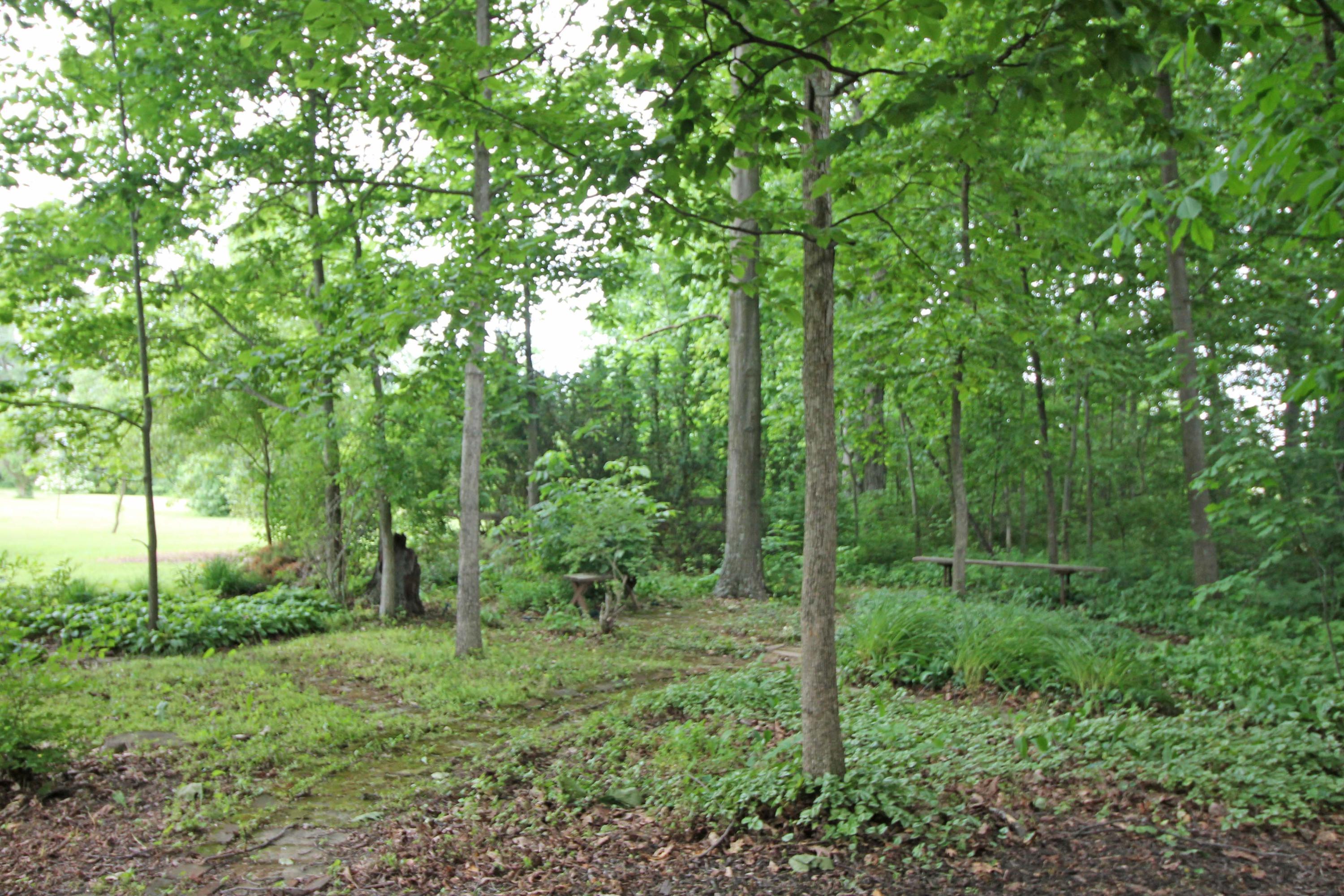 18290 Timber Trails Road Marysville, OH 43040 - Photo 37 of 55