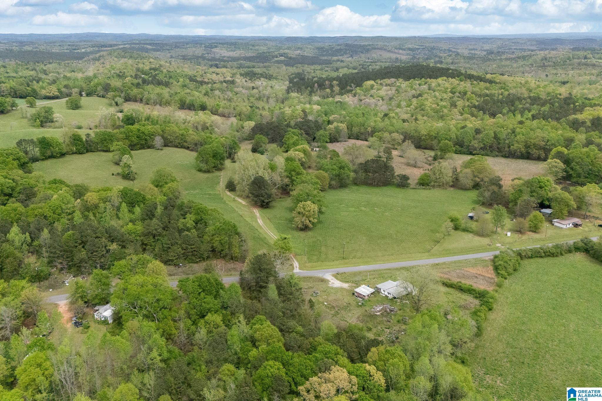 1749 McCollum Church Road Lineville, AL 36266 - Photo 63 of 66