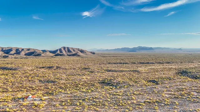 a close up of a plant