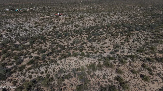 a view of a dry yard