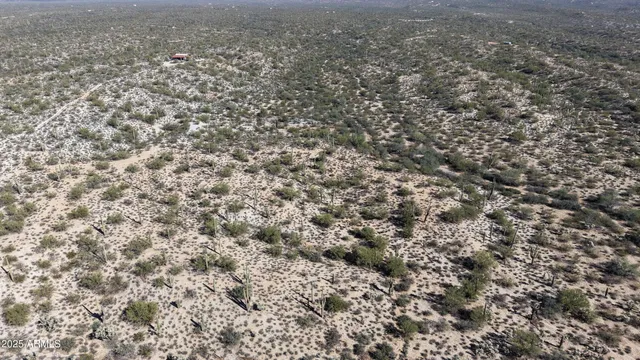 a view of a dry field with mountains in the background