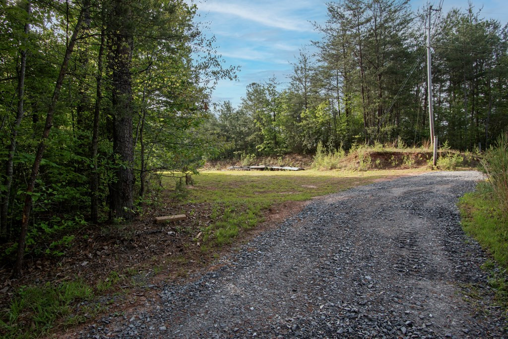 36 Mountain Top Road Marble, NC 28905 - Photo 4 of 8