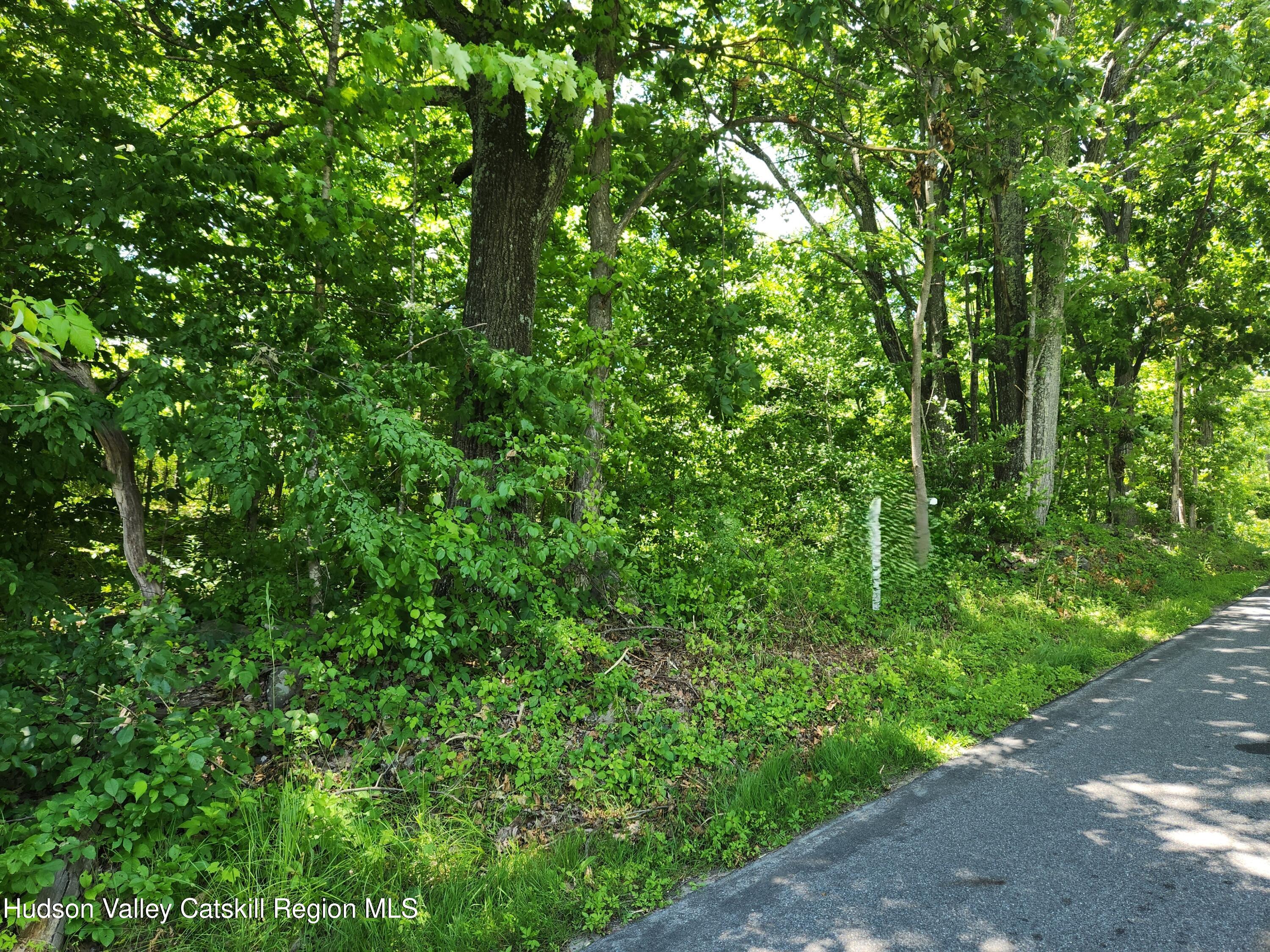 Tbd Irish Cape Road Ellenville, NY 12428 - Photo 3 of 16 a view of a lush green forest