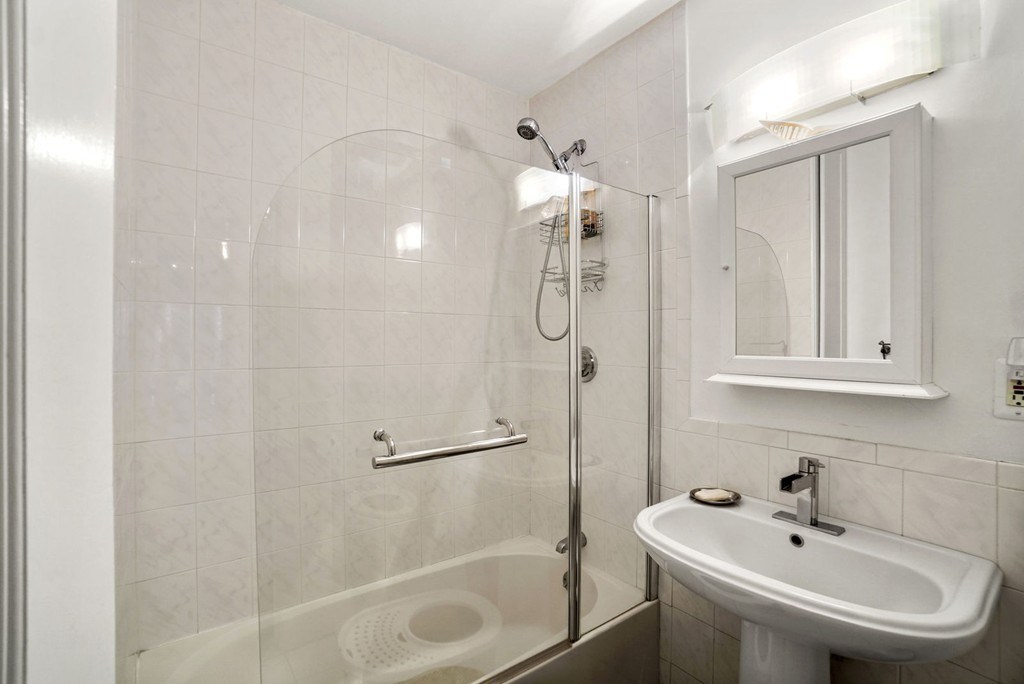 43 Worcester Street, Unit 1 Boston, MA 02118 - Photo 13 of 30