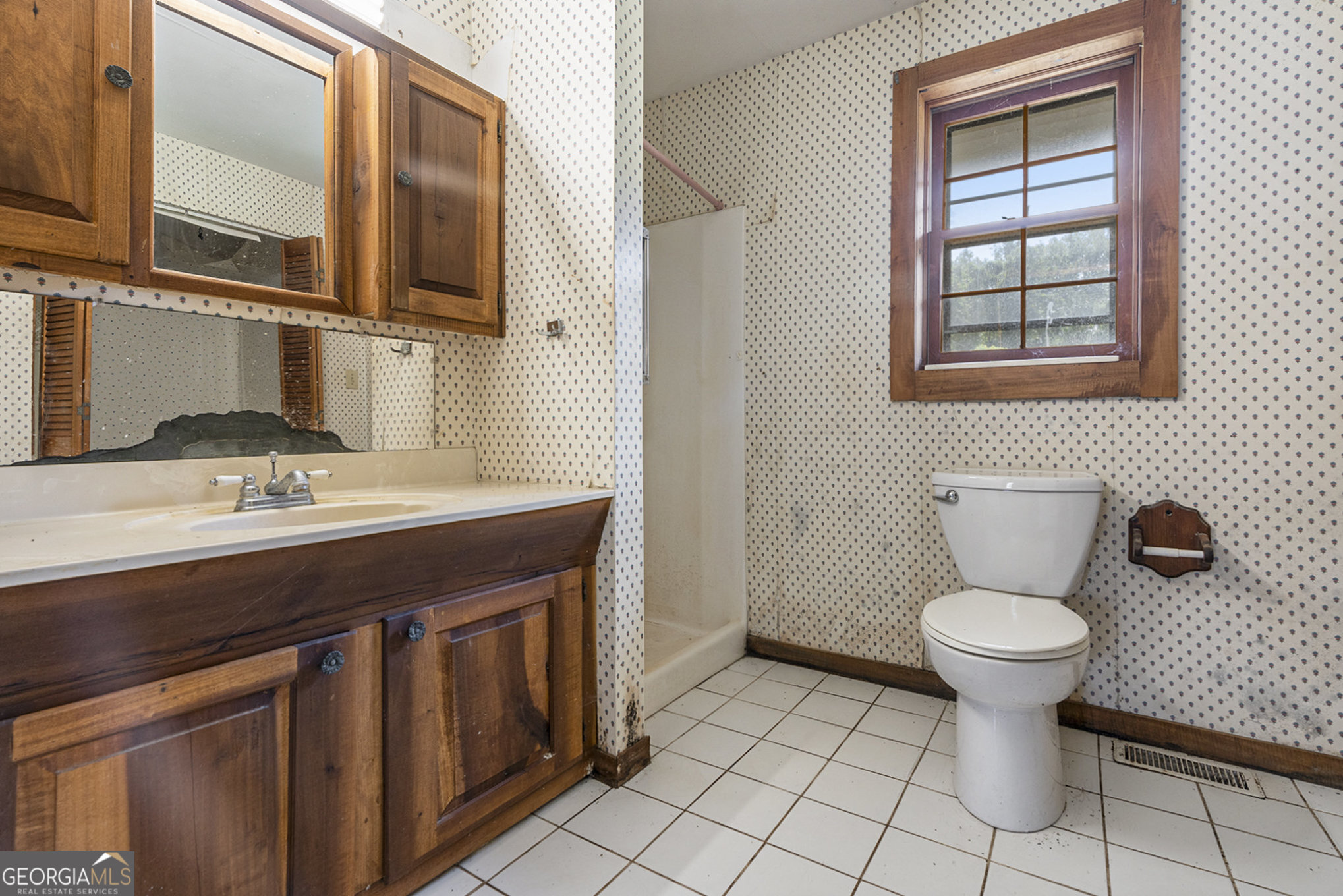 397 Highway 3 Street North Hampton, GA 30228 - Photo 13 of 32 a bathroom with a toilet a sink and a mirror