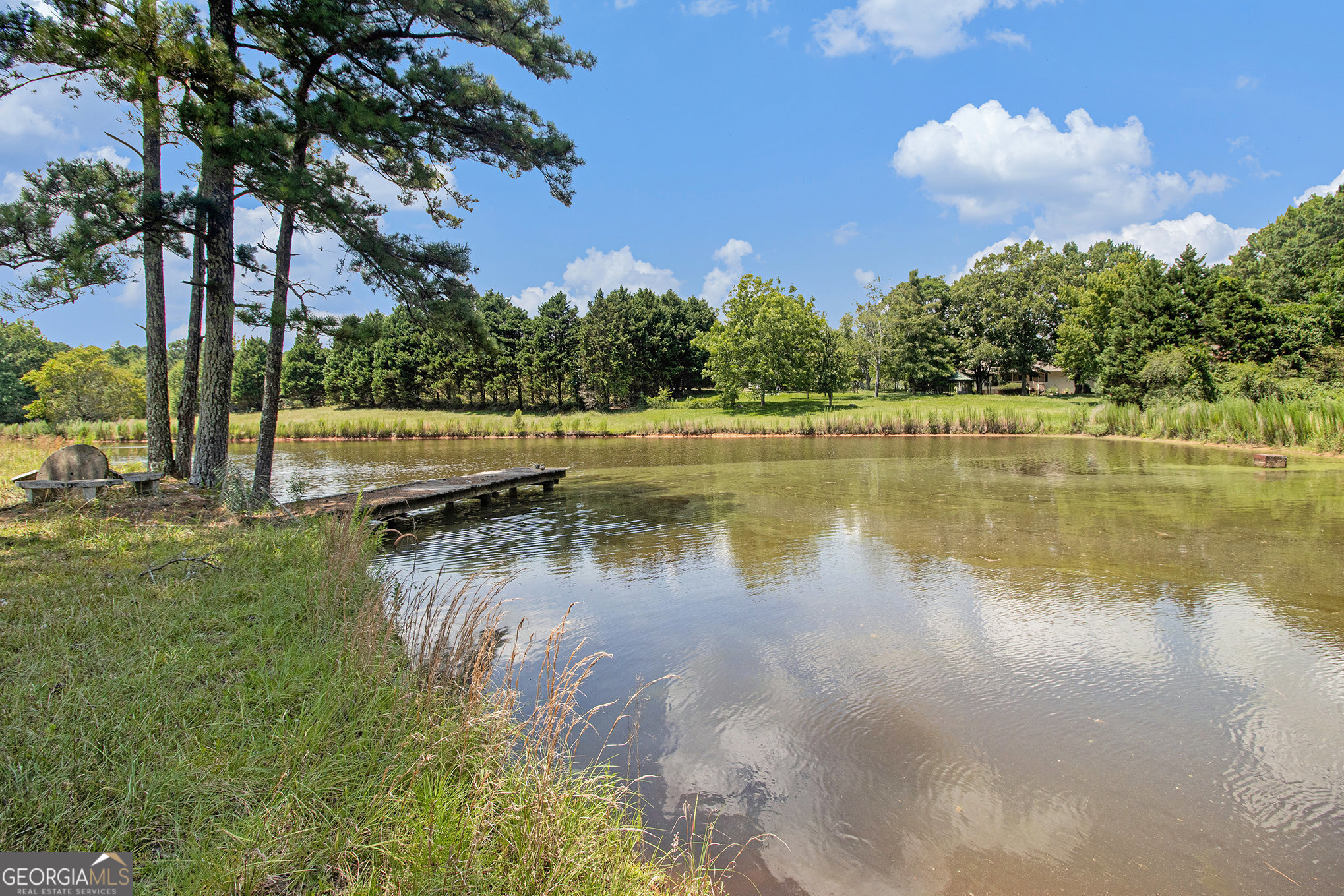 397 Highway 3 Street North Hampton, GA 30228 - Photo 2 of 32 a view of a lake with a yard